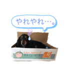 チック♡パート2（個別スタンプ：10）