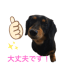 チック♡パート2（個別スタンプ：14）