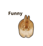 What's up, Everybun！ 2 (English ver.)（個別スタンプ：3）