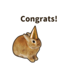 What's up, Everybun！ 2 (English ver.)（個別スタンプ：5）