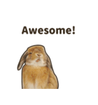 What's up, Everybun！ 2 (English ver.)（個別スタンプ：6）