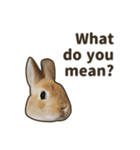 What's up, Everybun！ 2 (English ver.)（個別スタンプ：7）