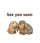 What's up, Everybun！ 2 (English ver.)（個別スタンプ：8）