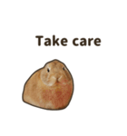 What's up, Everybun！ 2 (English ver.)（個別スタンプ：9）