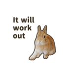 What's up, Everybun！ 2 (English ver.)（個別スタンプ：11）