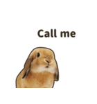 What's up, Everybun！ 2 (English ver.)（個別スタンプ：13）