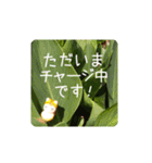 どげにゃんのほっこり敬語編（個別スタンプ：16）