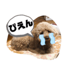 きみどこの子？うちの子もーちゃん（個別スタンプ：14）