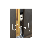 モコとトフィー（個別スタンプ：16）