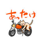 バイク乗りの猫（個別スタンプ：25）