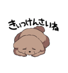 チャイプーとシロプー2～広島弁ver.～（個別スタンプ：3）