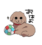チャイプーとシロプー2～広島弁ver.～（個別スタンプ：5）
