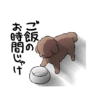 チャイプーとシロプー2～広島弁ver.～（個別スタンプ：9）