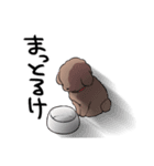 チャイプーとシロプー2～広島弁ver.～（個別スタンプ：10）