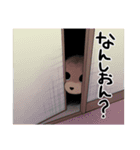 チャイプーとシロプー2～広島弁ver.～（個別スタンプ：17）