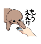 チャイプーとシロプー2～広島弁ver.～（個別スタンプ：29）