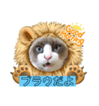 ラグドールMIX猫☆ブラウくん☆8（個別スタンプ：2）