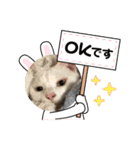 マイペットたち3（個別スタンプ：8）