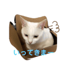 マイペットたち3（個別スタンプ：10）