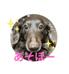 リューク＆ルナ 2（個別スタンプ：2）