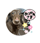 リューク＆ルナ 2（個別スタンプ：5）