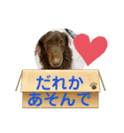 リューク＆ルナ 2（個別スタンプ：6）