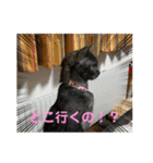 リューク＆ルナ 2（個別スタンプ：21）