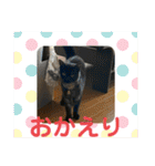リューク＆ルナ 2（個別スタンプ：24）