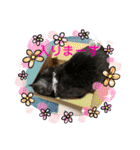 リューク＆ルナ 2（個別スタンプ：26）