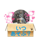 リューク＆ルナ 2（個別スタンプ：33）