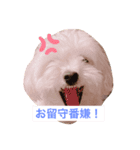 ベルくんの日常（個別スタンプ：3）