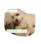 ベルくんの日常（個別スタンプ：4）