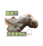 ベルくんの日常（個別スタンプ：6）