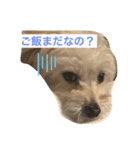 ベルくんの日常（個別スタンプ：8）
