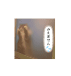 Chachagon（個別スタンプ：8）