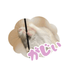 はむずだよ（個別スタンプ：2）