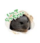 はむずだよ（個別スタンプ：3）