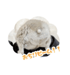 はむずだよ（個別スタンプ：4）