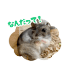 はむずだよ（個別スタンプ：7）