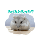 はむずだよ（個別スタンプ：11）