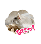 はむずだよ（個別スタンプ：13）