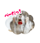 はむずだよ（個別スタンプ：16）