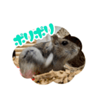 はむずだよ（個別スタンプ：28）