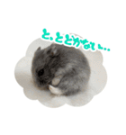 はむずだよ（個別スタンプ：30）