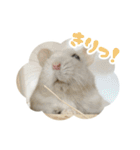 はむずだよ（個別スタンプ：32）