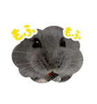 はむずだよ（個別スタンプ：34）