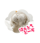 はむずだよ（個別スタンプ：35）