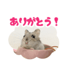 はむずだよ（個別スタンプ：38）