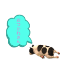ブヒ男、dice君。（個別スタンプ：1）