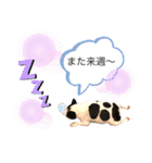 ブヒ男、dice君。（個別スタンプ：4）
